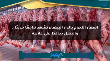 أسعار اللحوم بالدار البيضاء تشهد تراجعًا جديدًا.. والبصل يحافظ على غلائه